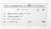 Image Associated With the Occurence